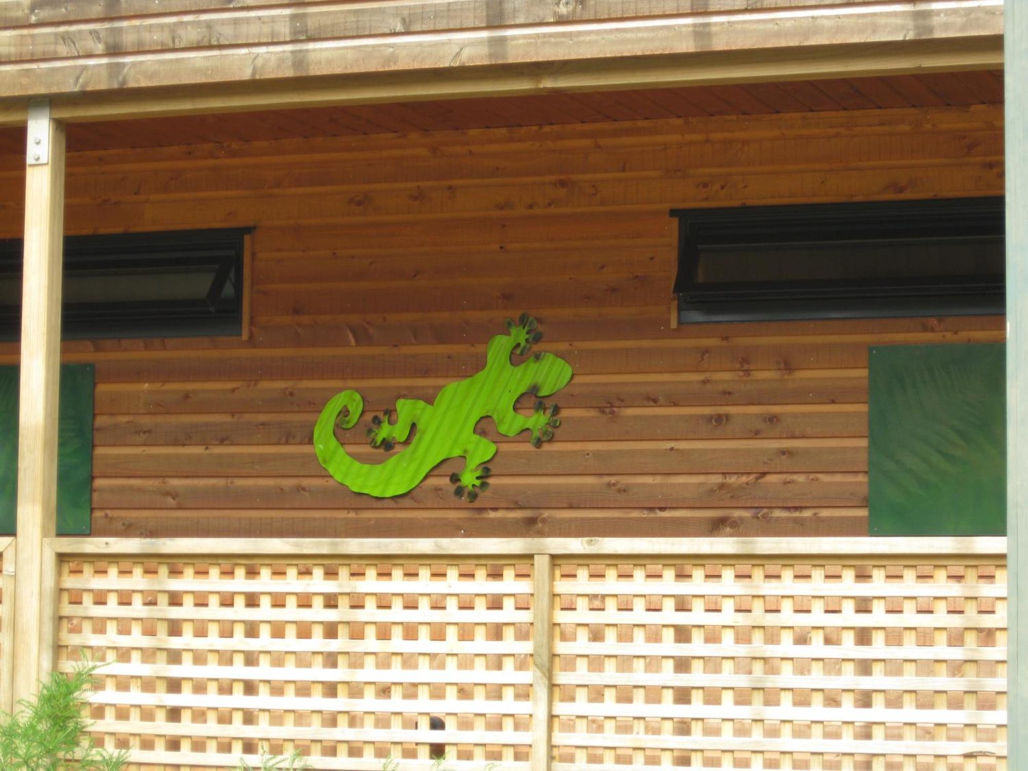 קולינגווד Twin Waters Lodge מראה חיצוני תמונה